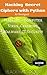 Hacking Secret Ciphers with Python: Hacking - Computer Virus, Cracking, Malware, IT Security