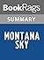 Summary & Study Guide Montana Sky by Nora Roberts