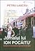 Jurnalul lui Ion Pocaitu'