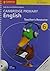 Cambridge Primary English Stage 6 Teacher's Resource Book by Sally Burt