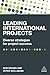 Leading International Projects: Diverse Strategies for Project Success