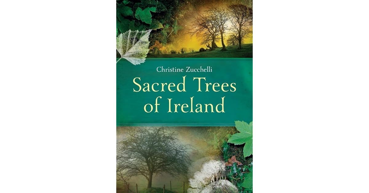 Sacred Trees of Ireland by Christine Zucchelli