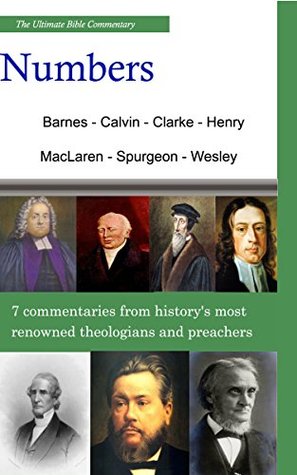 The Ultimate Commentary On Numbers: A Collective Wisdom Of The Bible