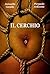 Il Cerchio (Italian Edition)