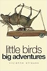 Little Birds Big Adventures by Vivienne Strauss