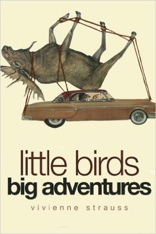 Little Birds Big Adventures (Paperback)