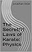 The Secret(?) Laws of Karate by Jonathan Sklar