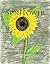 Sunflower by Kimberly Rickman Crone