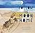 Follow the Moon Home: A Tale of One Idea, Twenty Kids, and a Hundred Sea Turtles