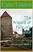 The Wizard of Falkun's Gate: Out of Time - Book 3