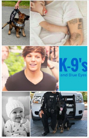 K-9's and Blue Eyes