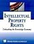 Intellectual Property Rights: Unleashing The Knowledge Economy