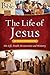 The Life of Jesus: Matthew ...