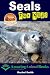 Seals For Kids