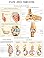 Pain and sprains e-chart: Q...