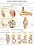 Pain and sprains e-chart: Quick reference guide