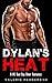 Romance: Dylan's Heat