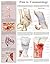 Pain in Traumatology e-chart: Quick reference guide