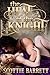 The Heat of the Knight by Scottie Barrett