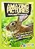 Amazing Pictures and Facts About Rabbits: The Most Amazing Fact Book for Kids About Rabbits