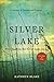 Silver Lake: A Journey of Passion and Promise (Silver Lake Series Book 1)