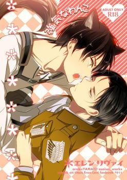 Shingeki no Kyojin dj - 強気なわんこ [Tsuyoki na Wanko | Stubborn Dog]