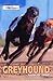 British Greyhound Racing Bo...