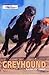 British Greyhound Racing Board Greyhound Annual by Jonathan Hobbs