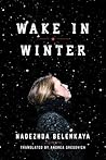 Wake in Winter