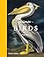 Remarkable Birds