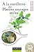 a la Cueillette Des Plantes Sauvages Utiles: Plantes Medicinales, Tincturiales, Aromatiques... Sachez Les Reconnaitre