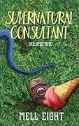 Supernatural Consultant: Volume One