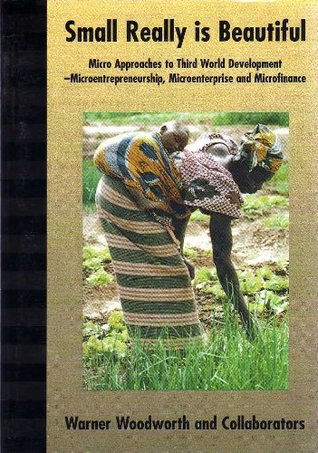 Small Really is Beautiful: Micro Approaches to Third World Development-Microentrepreneurship, Microenterprise, and Microfinance (Paperback)