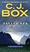 Savage Run (Joe Pickett #2)