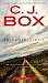 In Plain Sight (A Joe Picke...