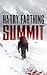 Summit by Harry Farthing