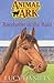 Racehorse in the Rain (Animal Ark: Holiday Special, #9)