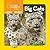 National Geographic Kids Look & Learn: Big Cats
