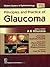 Principles and Practice of Glaucoma (Modern System of Opthalmology)
