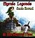 Hyrule Legends & The Hero of Time by Jamie Howard