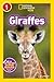 Giraffes