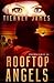 Rooftop Angels (Enigma Series)