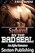 Seduced by the Bad SEAL