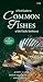 A Field Guide to Common Fishes of the Pacific Northwest by Andy Lamb