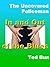 Uncovered Policeman; In and Out of the Blues by Ted Bun