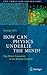 How Can Physics Underlie the Mind?: Top-Down Causation in the Human Context (The Frontiers Collection)