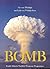 The Bomb: South Africa's Nuclear Weapons Programme