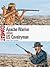 Apache Warrior vs US Cavalr...
