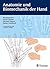 Anatomie und Biomechanik der Hand (German Edition)