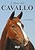 Il libro del cavallo (Italian Edition)
